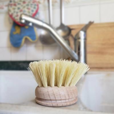pulizia piatti e stoviglie in maniera sostenibile ed ecologia